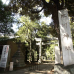 縁結び神社「赤坂氷川神社」で恋愛運も急上昇！
