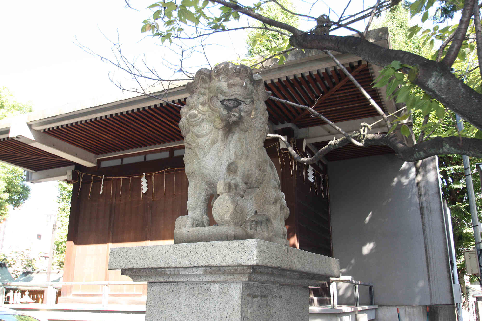 亀戸香取神社 左の狛犬様