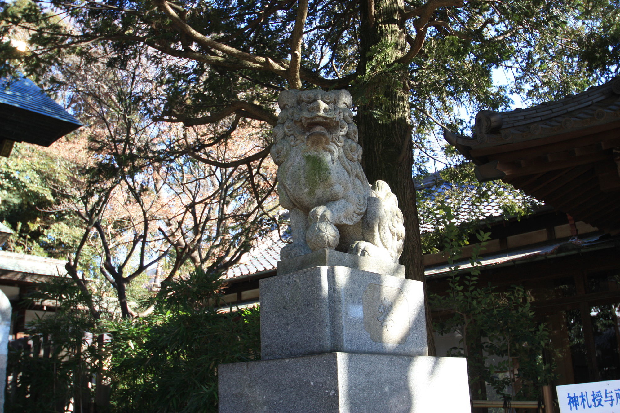 用賀神社の狛犬（右）