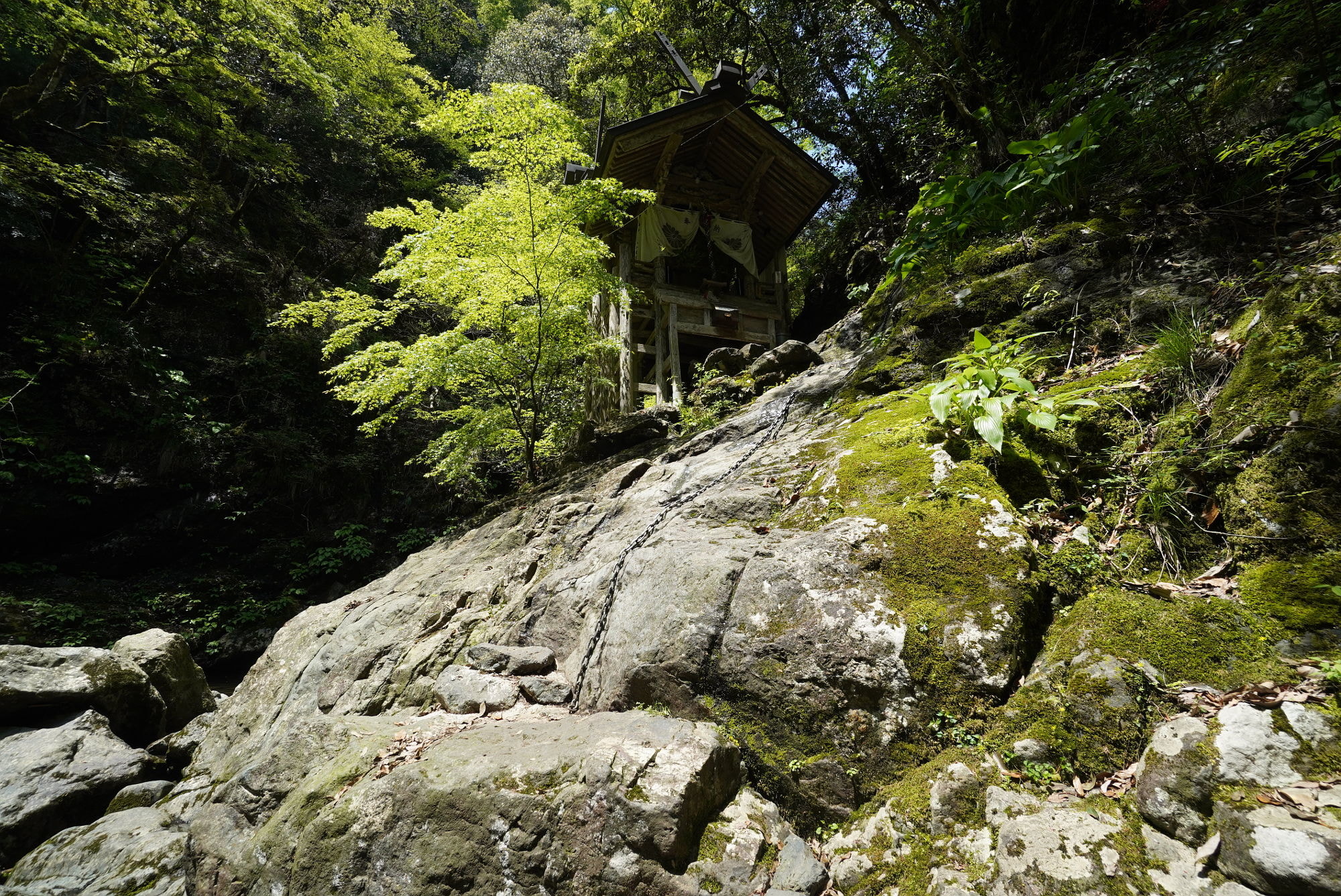 天岩戸神社 崖の上の本殿（社殿）