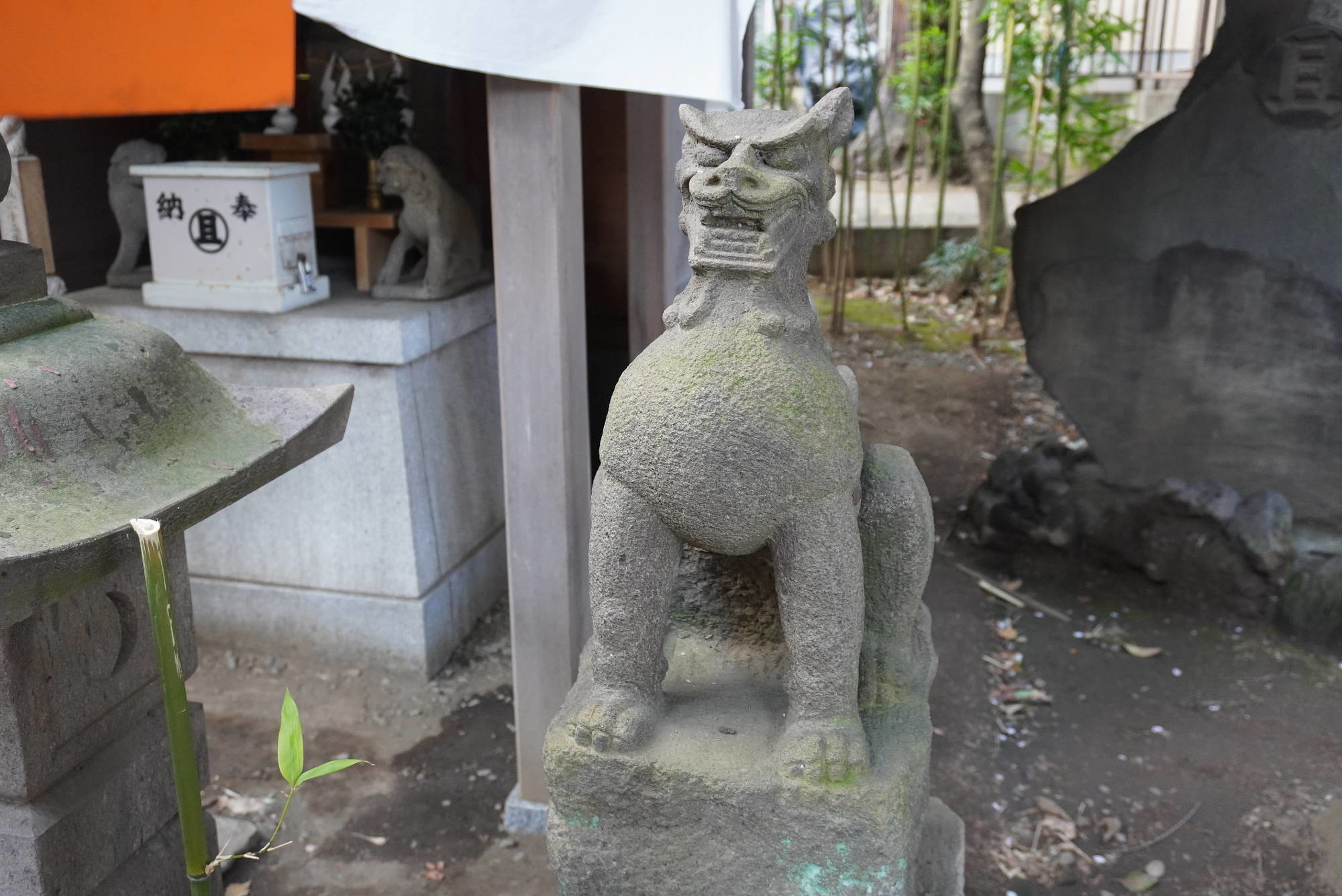 浅間神社の狛犬（右）