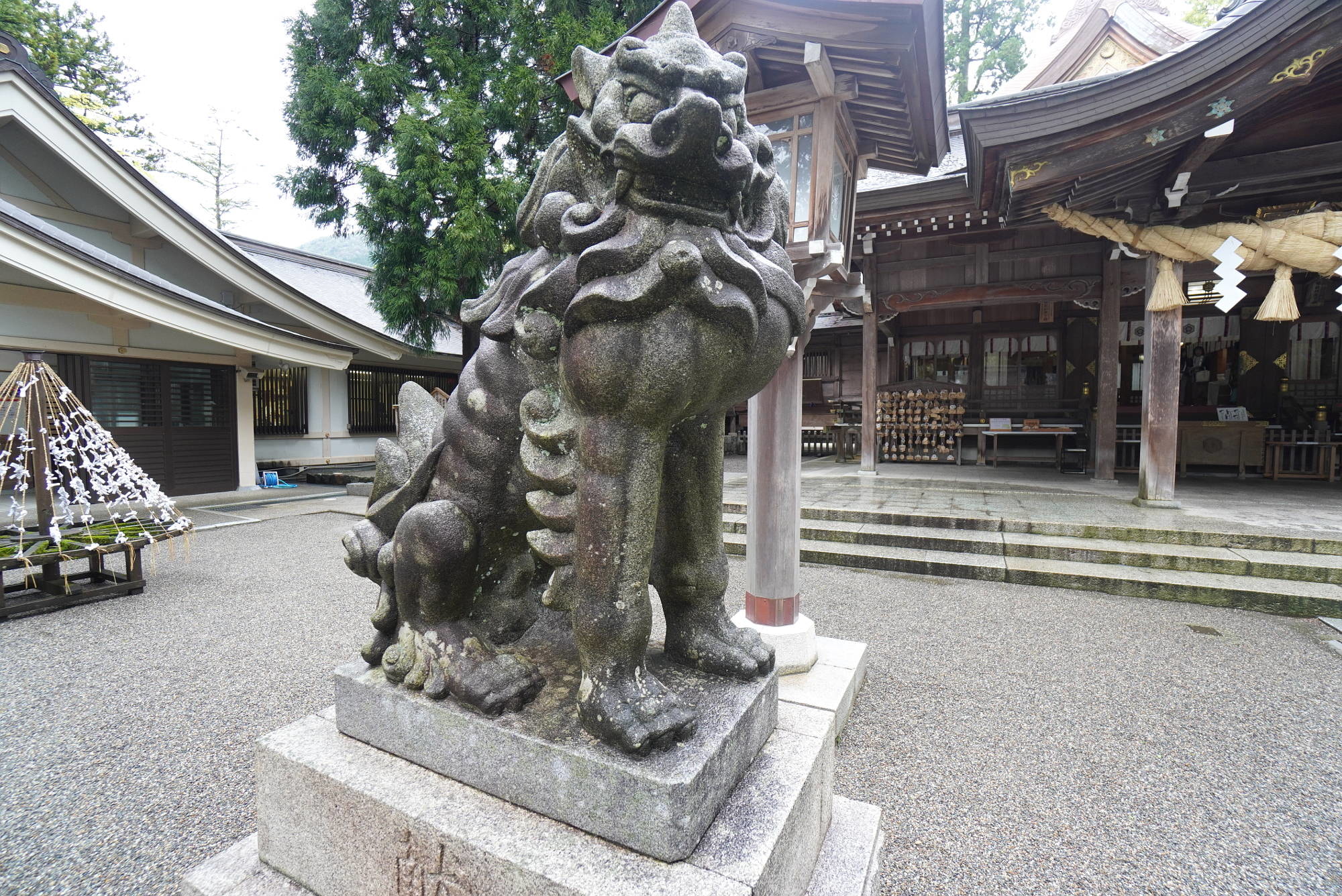 白山比咩神社の狛犬（左）