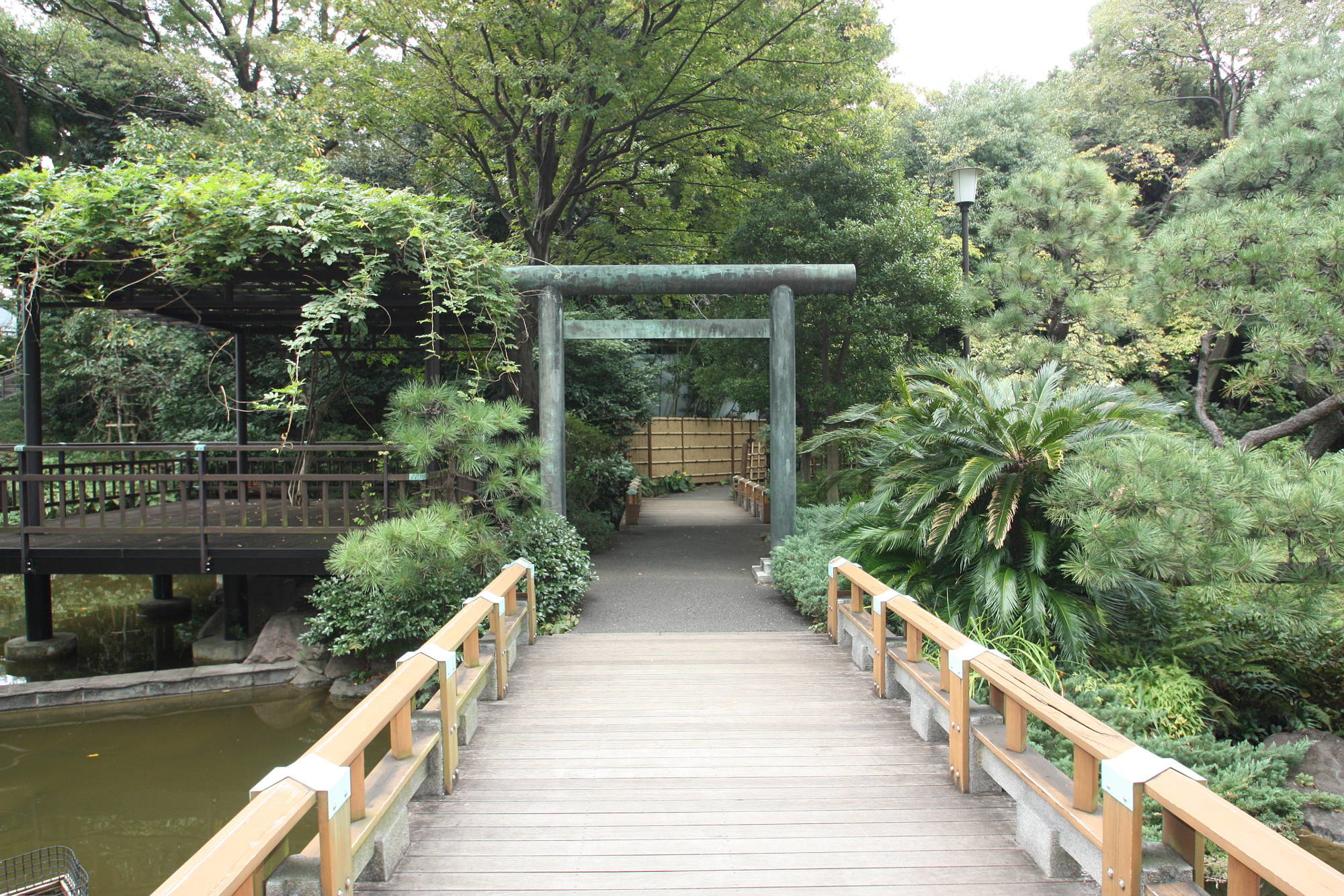 東郷神社の庭