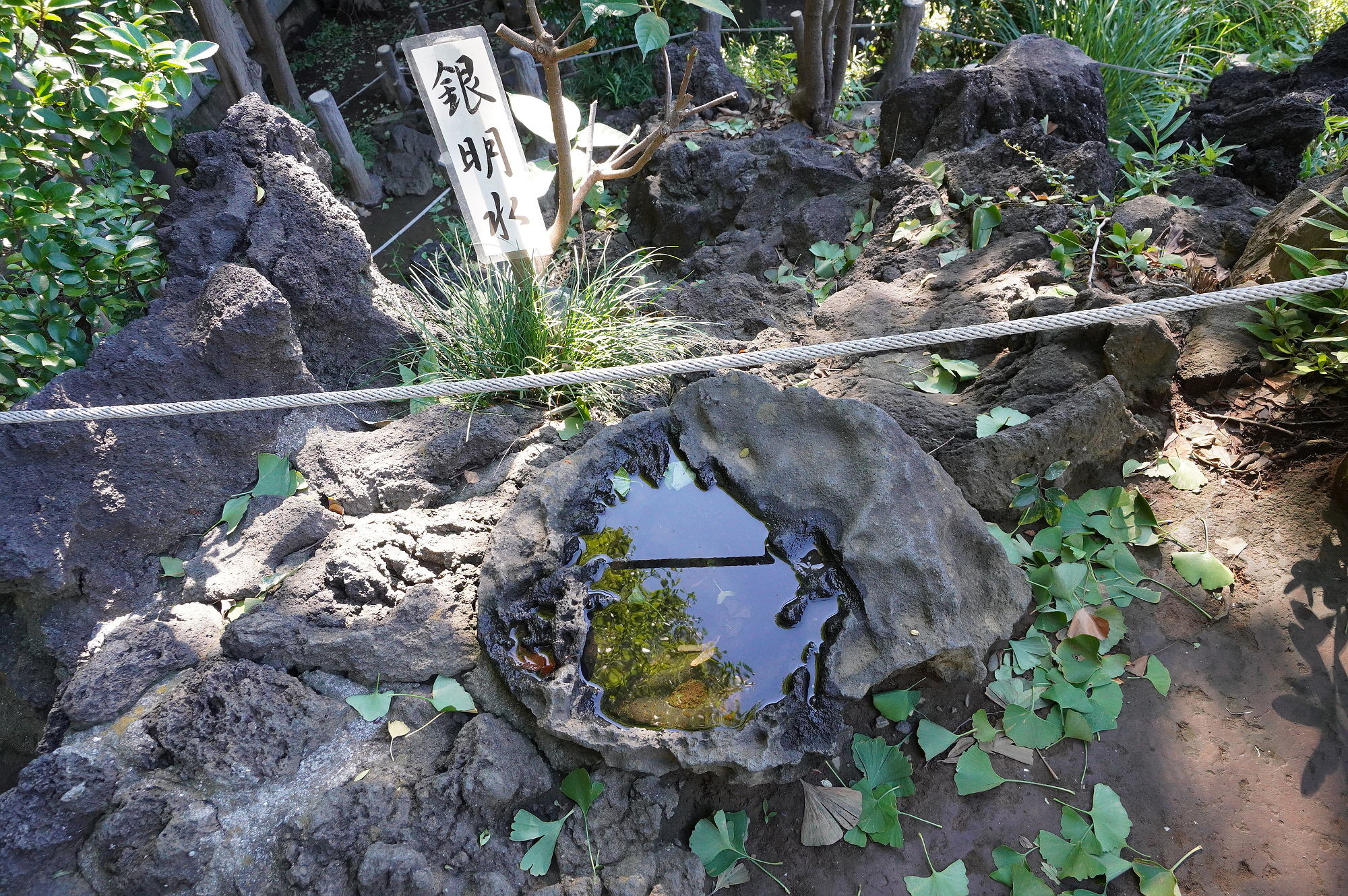 富士塚の金明水