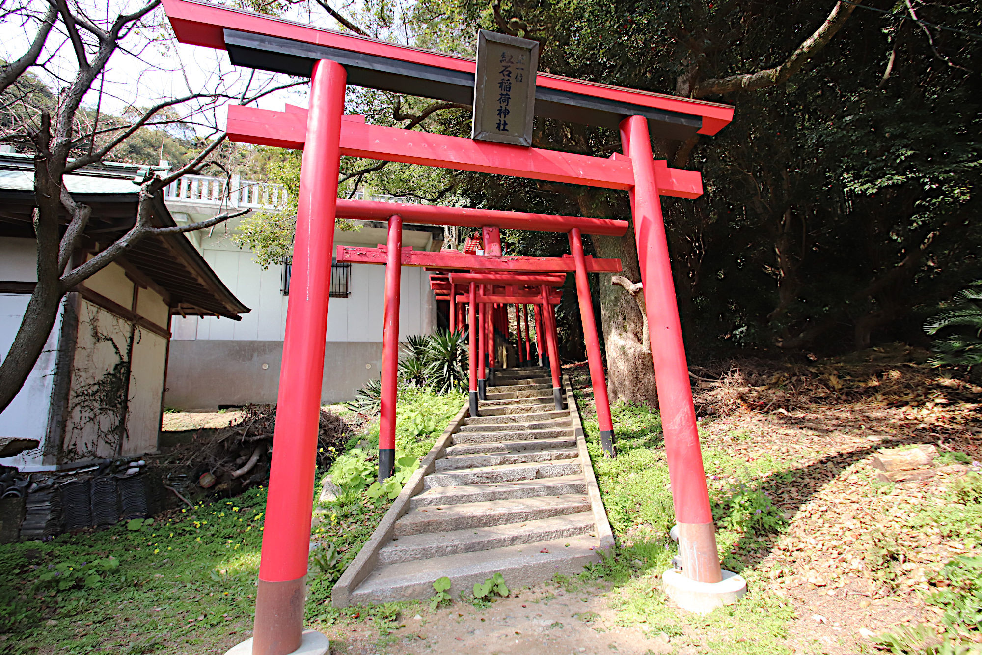 紅石稲荷神社の千本鳥居