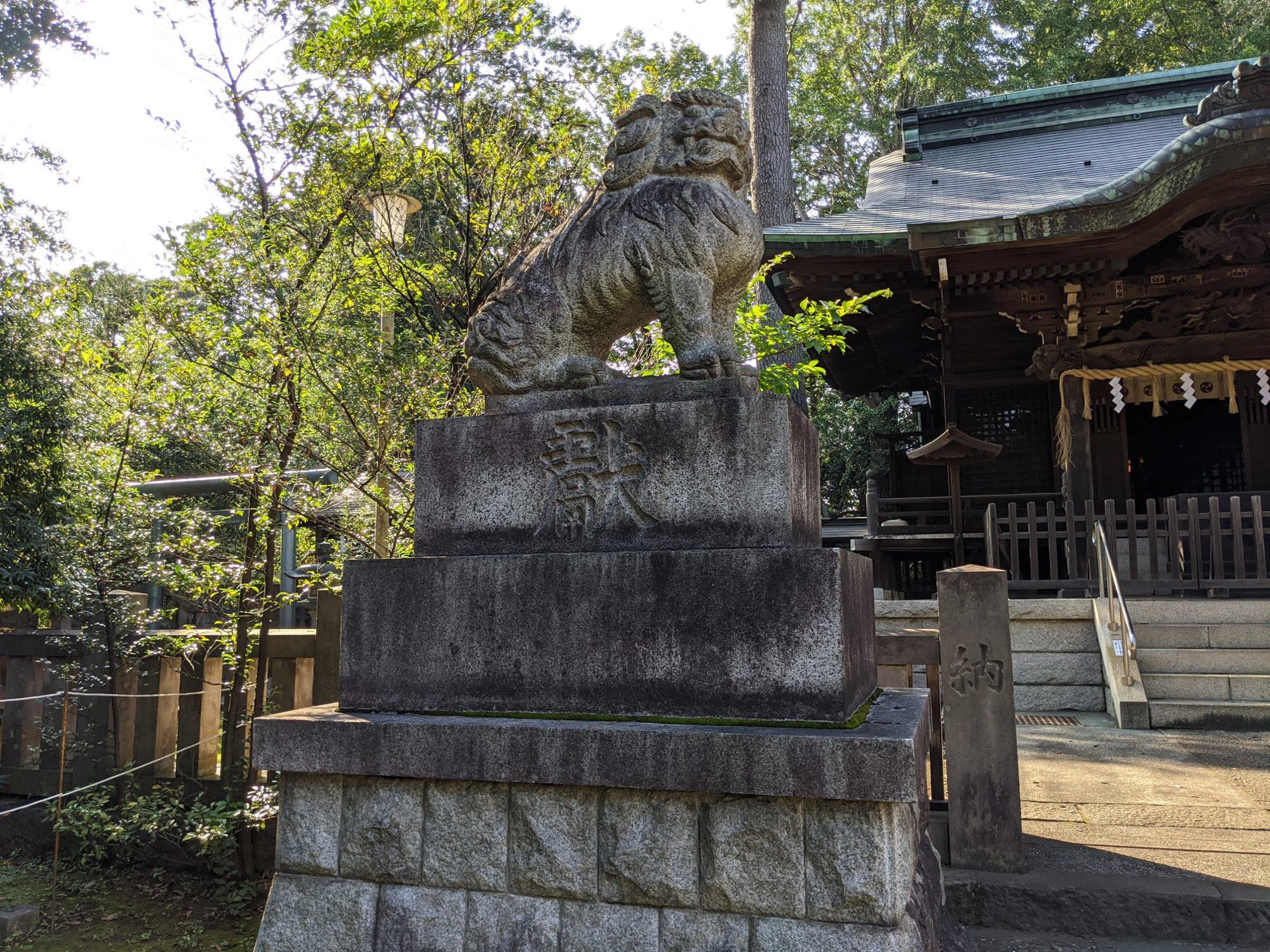 和泉熊野神社の狛犬（左側）