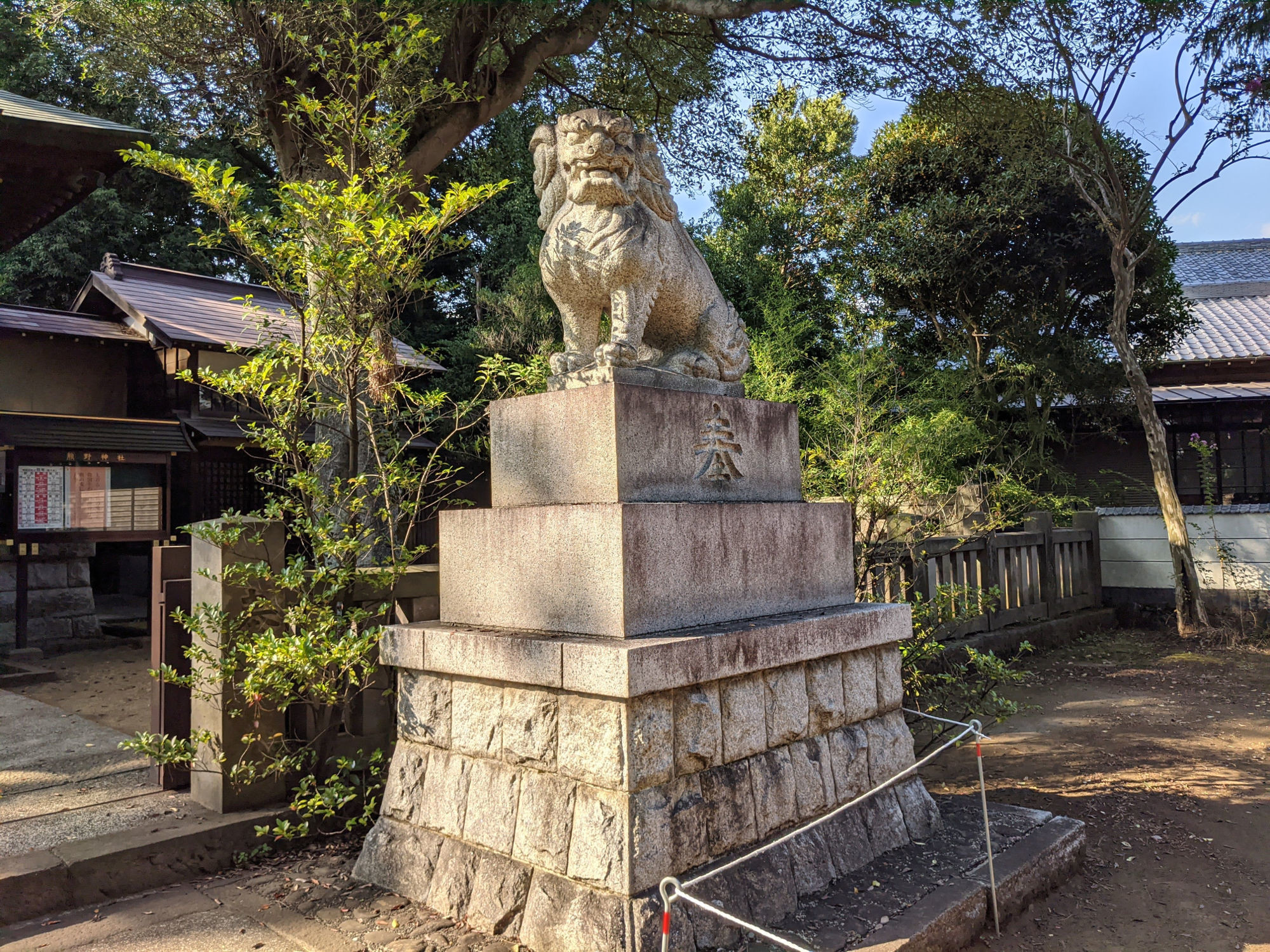 和泉熊野神社の狛犬（右側）